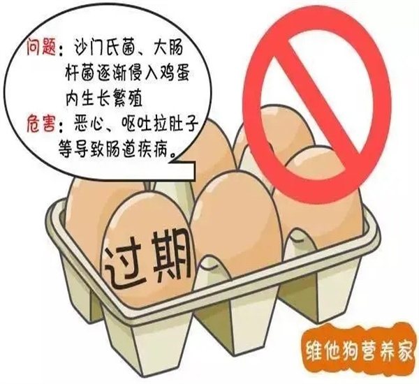 广州市过期速冻食品销毁处理公司名录2022已更新（今天/资讯）